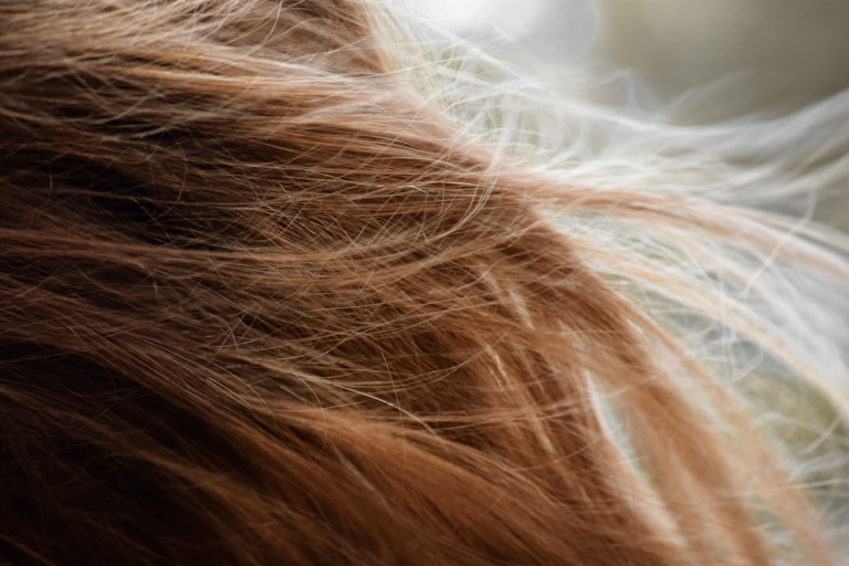 brown hair on white textile — Foto por Taylor Smith na Unsplash