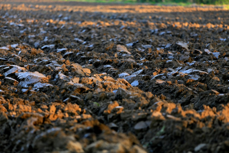 a plowed field with lots of dirt and rocks — Foto por Claudia Salamone na Unsplash