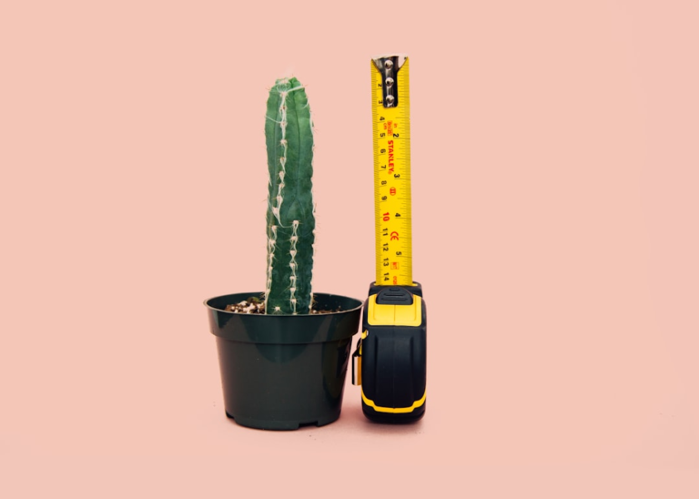 green cactus in back pot beside tape measure — Foto por charlesdeluvio na Unsplash